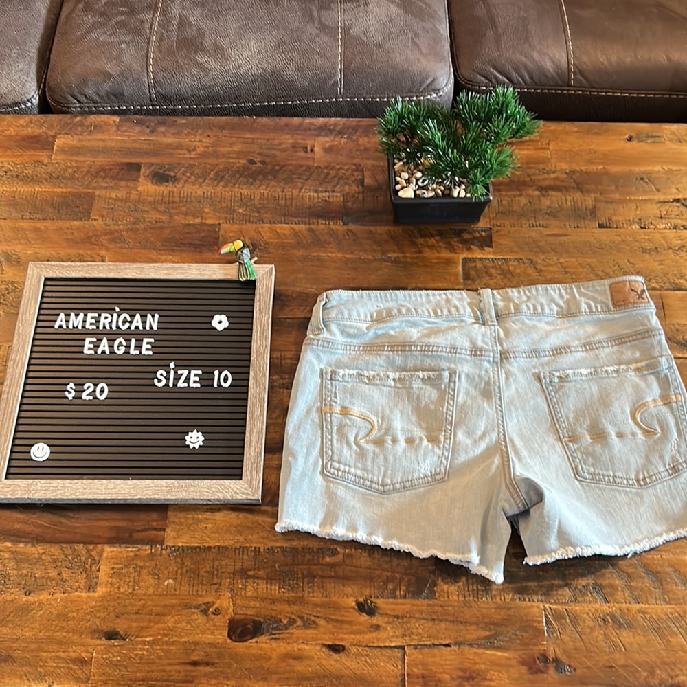American  eagle 🦅 - Picture 7 of 9
